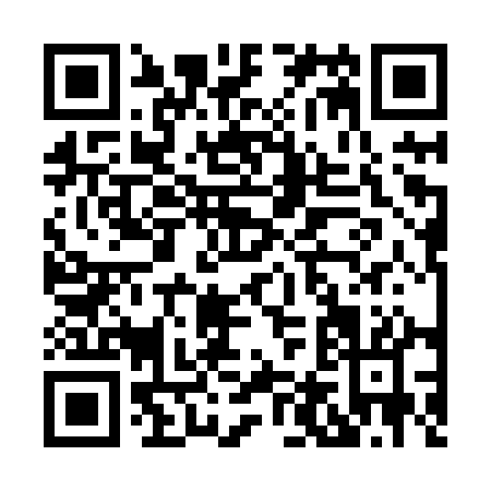 QR code for H438Q