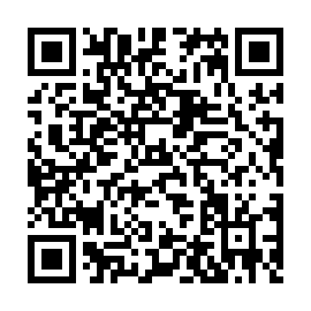 QR code for H451D