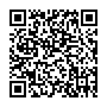 QR code for H455X