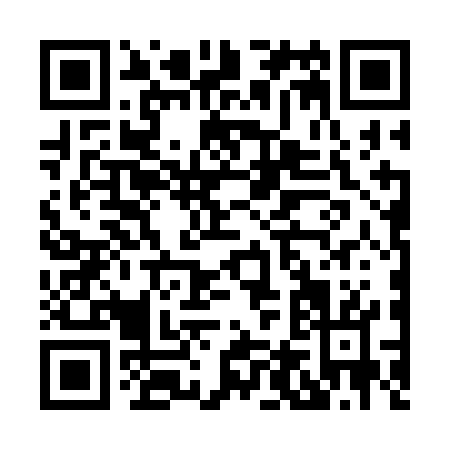 QR code for H463G
