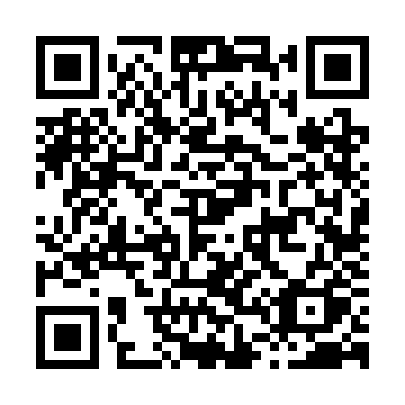 QR code for H463JQ