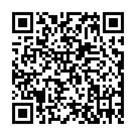 QR code for H463Q