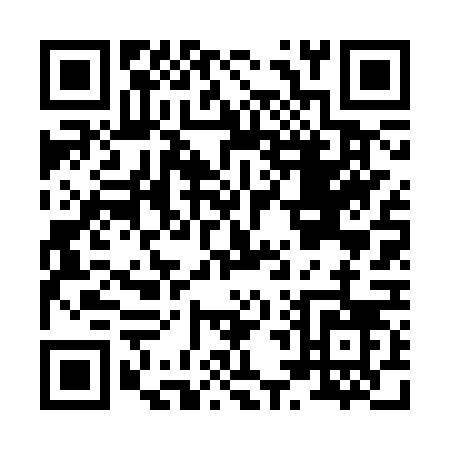 QR code for H463V