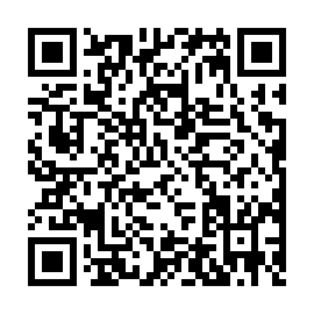QR code for H463Y