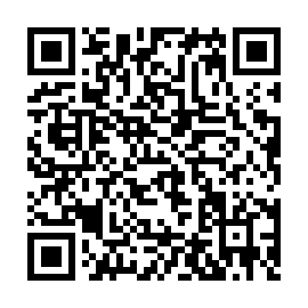 QR code for H487X