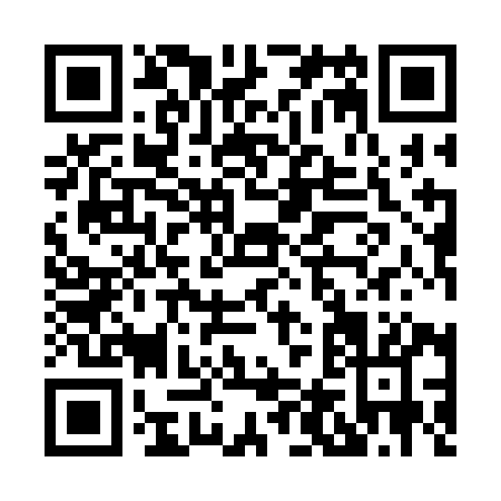 QR code for H493I