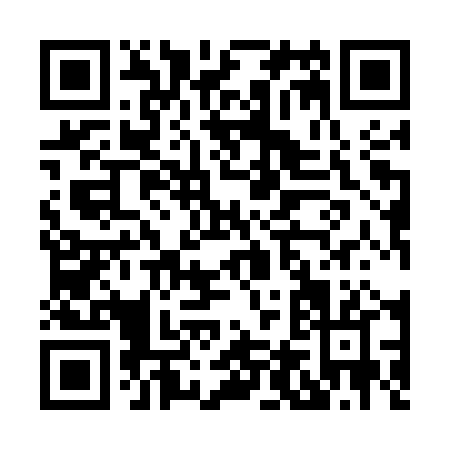 QR code for H495P