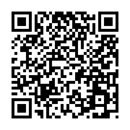QR code for H498N