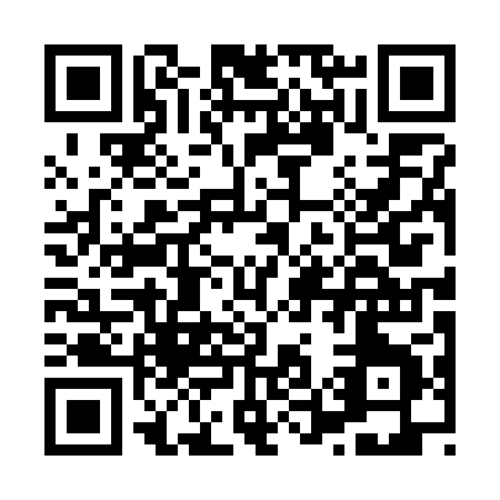 QR code for H507P