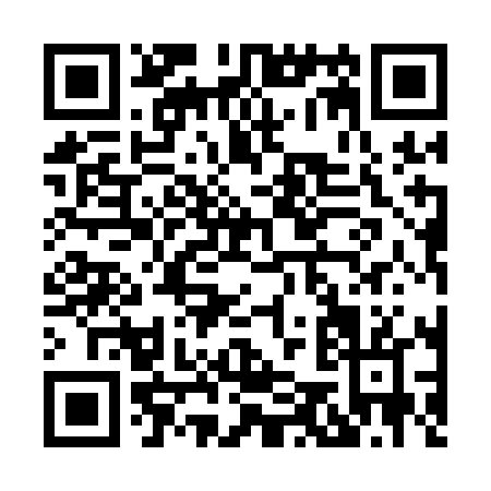 QR code for H511L