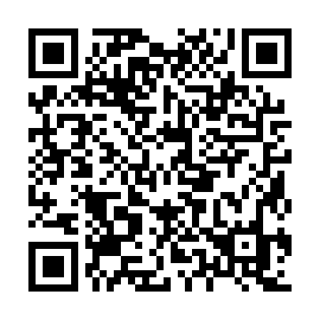 QR code for H511ZO