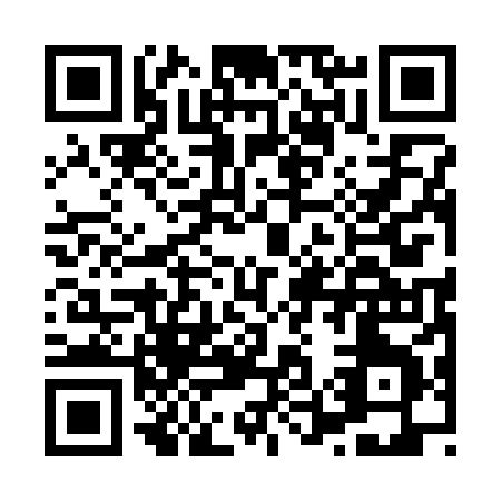 QR code for H513X