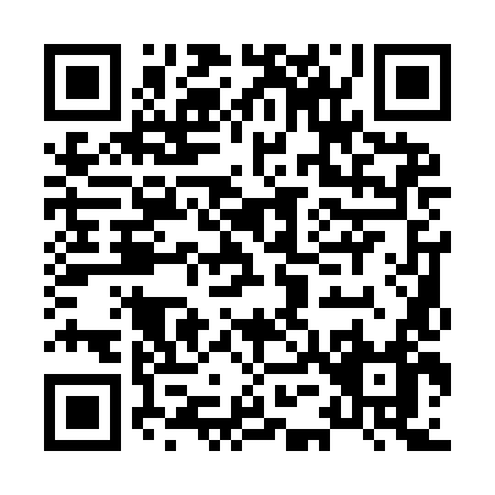 QR code for H519L