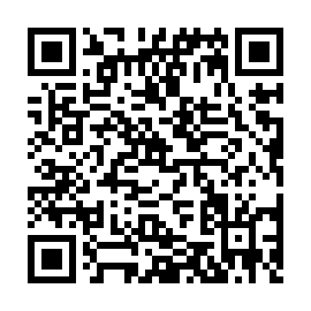 QR code for H519U