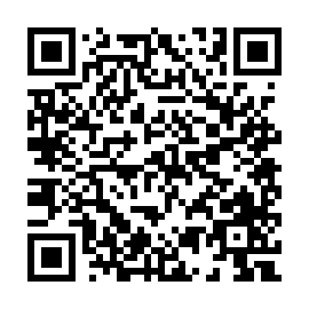 QR code for H521X