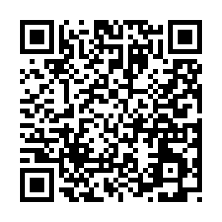 QR code for H529J