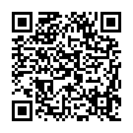 QR code for H529L