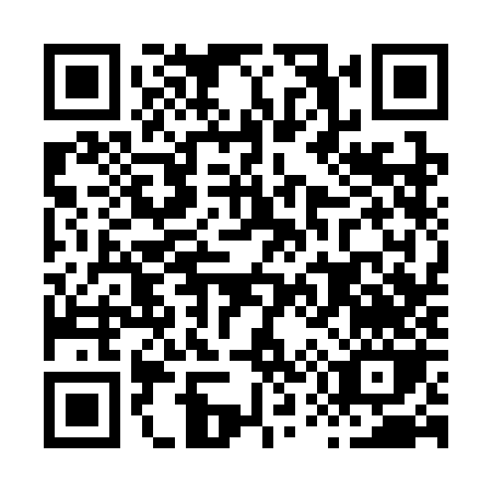 QR code for H533J
