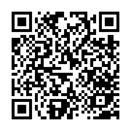 QR code for H536N