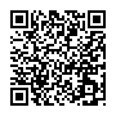 QR code for H541S