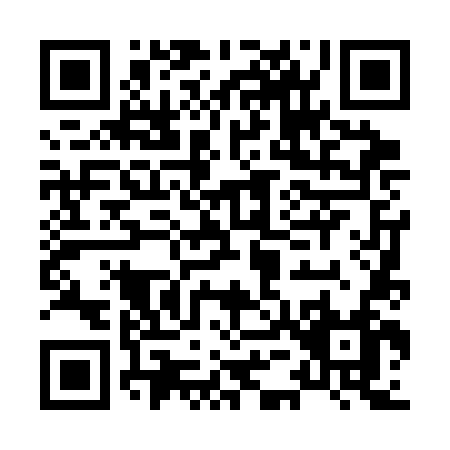 QR code for H543N