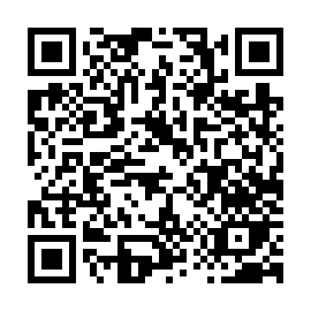 QR code for H546Z