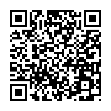 QR code for H591N
