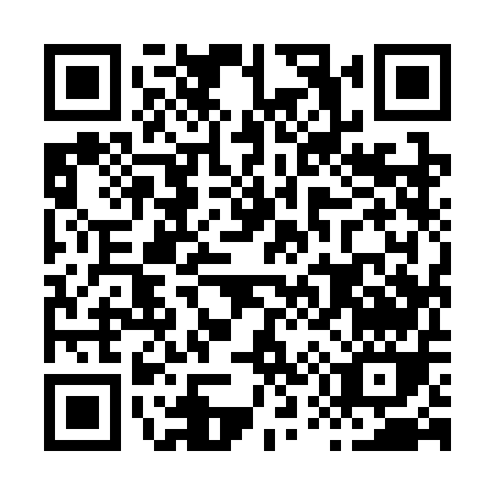 QR code for H593E