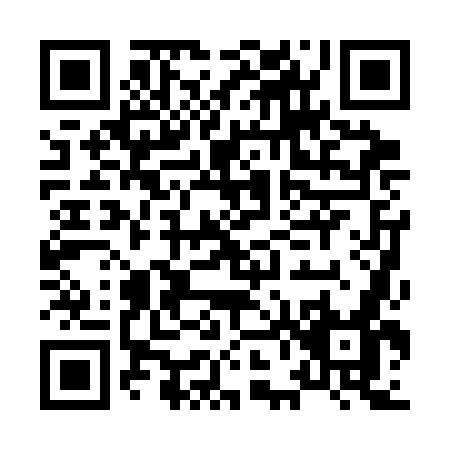 QR code for H603O