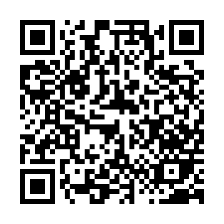 QR code for H611P
