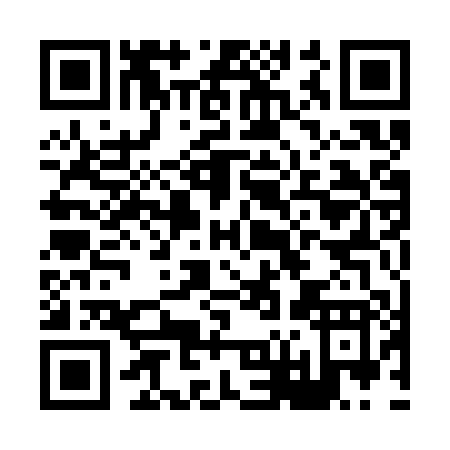QR code for H613P
