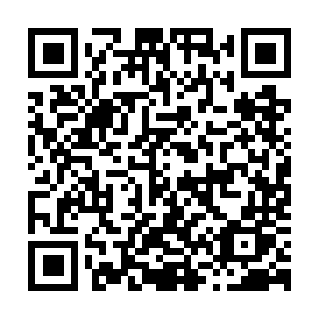 QR code for H617NP