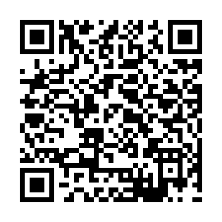 QR code for H619P