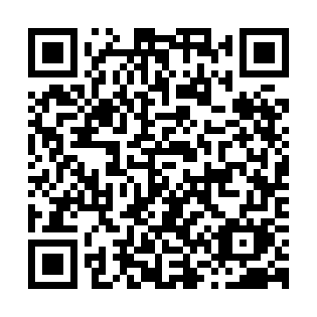 QR code for plate H63 8GM