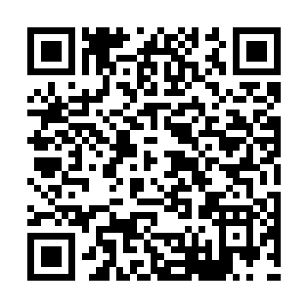 QR code for H647P