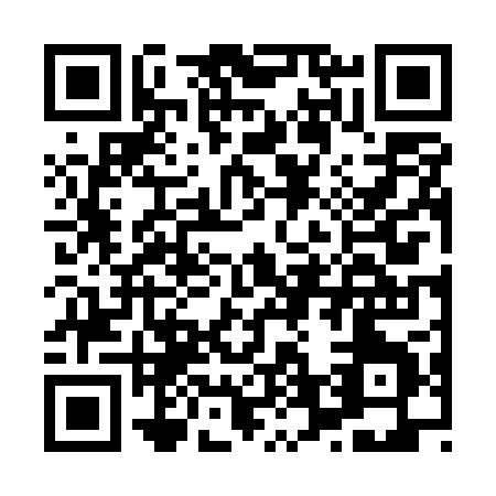 QR code for H665P