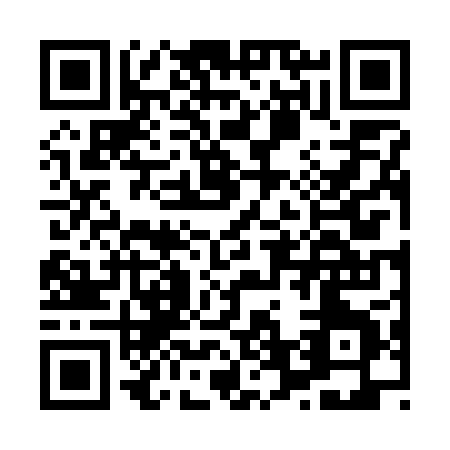 QR code for H667P