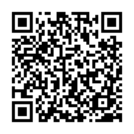 QR code for plate H67 3FS