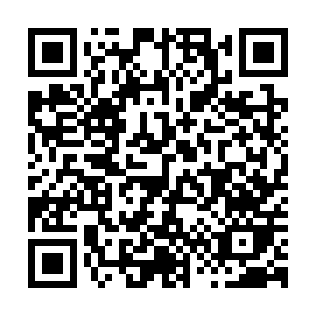 QR code for H673P
