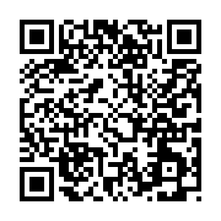 QR code for H705Q