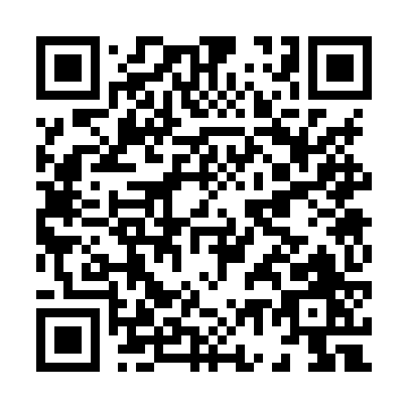 QR code for H738Z