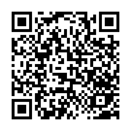 QR code for H753N