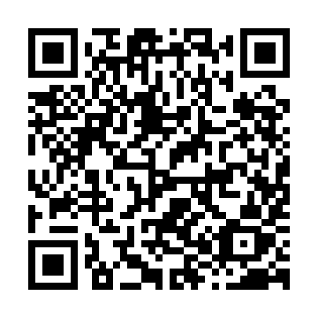 QR code for H811IZ