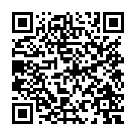 QR code for H838R