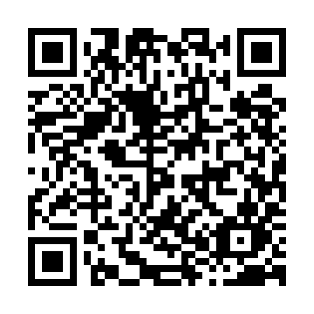 QR code for plate H85 5IN