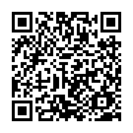 QR code for plate H91 2SD