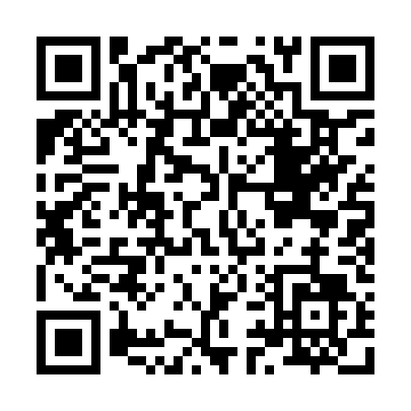 QR code for H919T