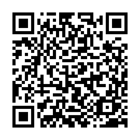 QR code for H919VP