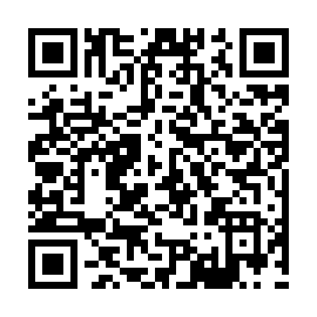 QR code for H939V