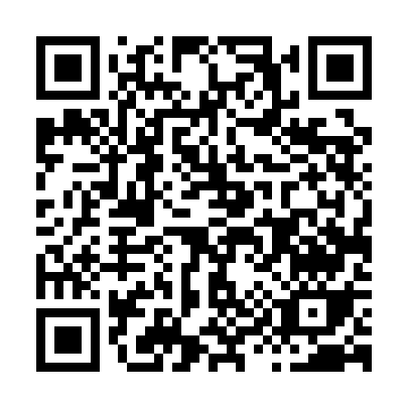 QR code for H941G